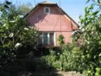 Homrogd030926 060.jpg (135kb)